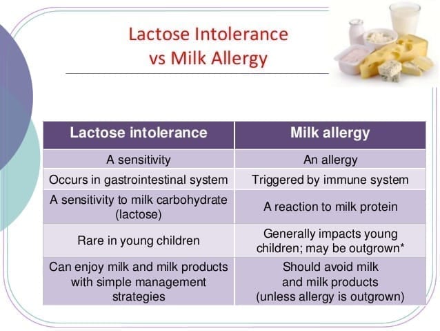 lactose intolerance milk allergy