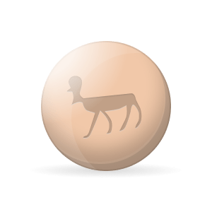prandin-6 Prandin