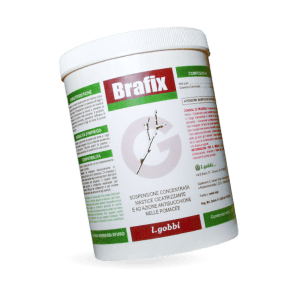 brafix-1 Brafix
