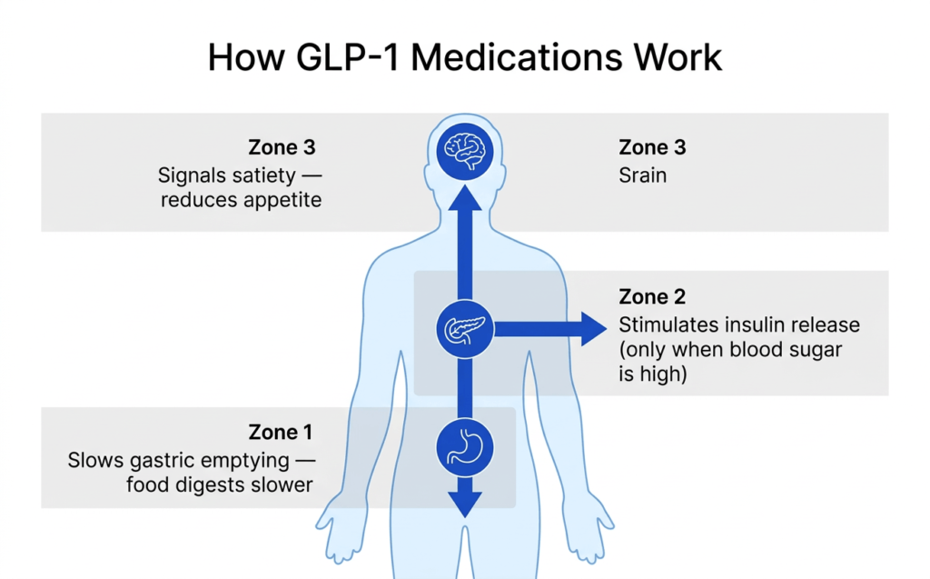 How GLP-1 receptor agonists work: mechanism of action diagram