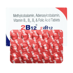 2b12 2B12