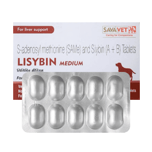 vet-lisybin-medium-1 Lisybin Medium